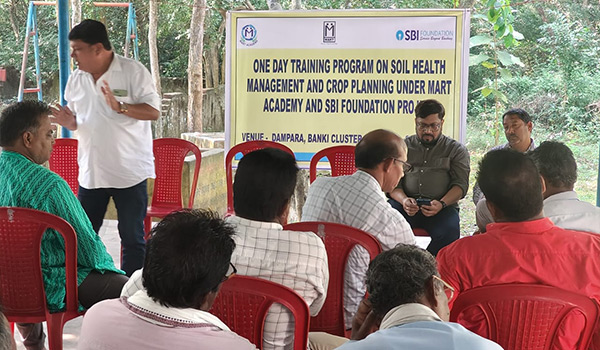 Institution-Building