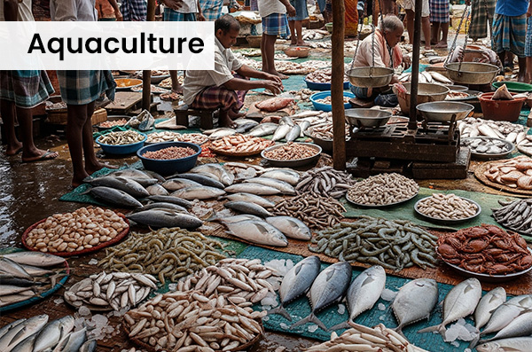 aquaculture