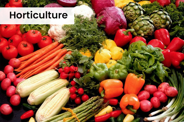 horticulture